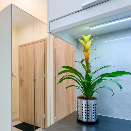 Appartement Moko Ii